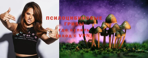 шишки Алзамай