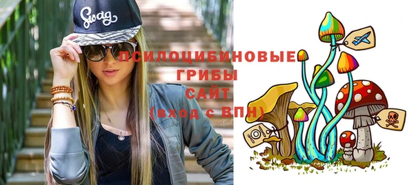 шишки Алзамай