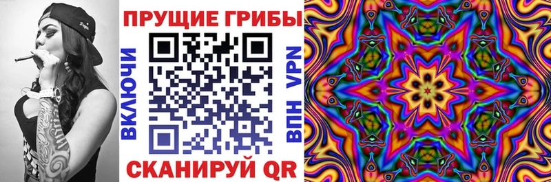 Галлюциногенные грибы мухоморы  наркошоп  Чехов 